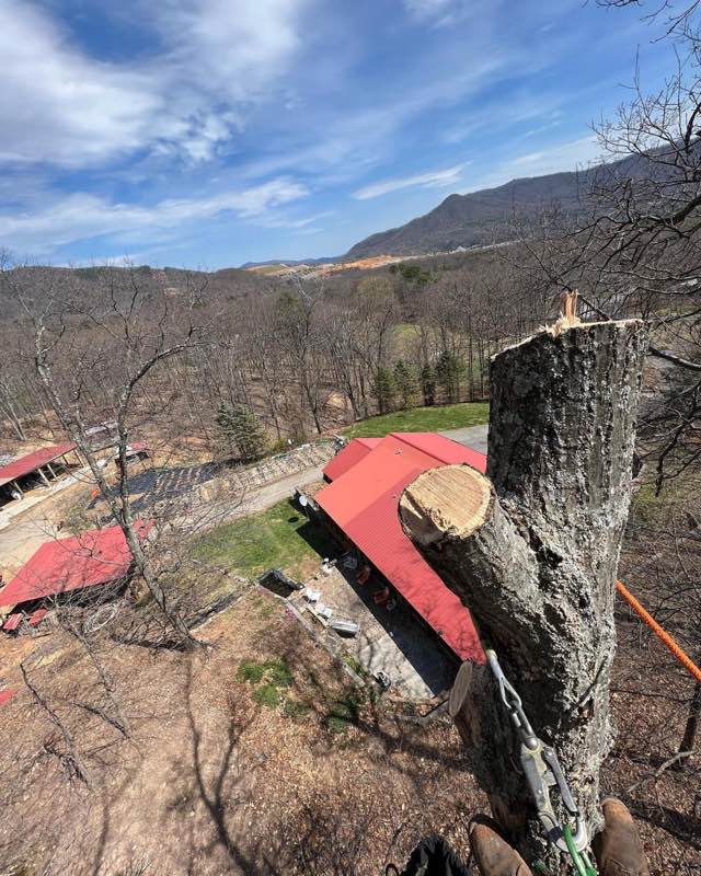 View from the spar of a removal, Blue Ridge foothills behind a Roanoke home