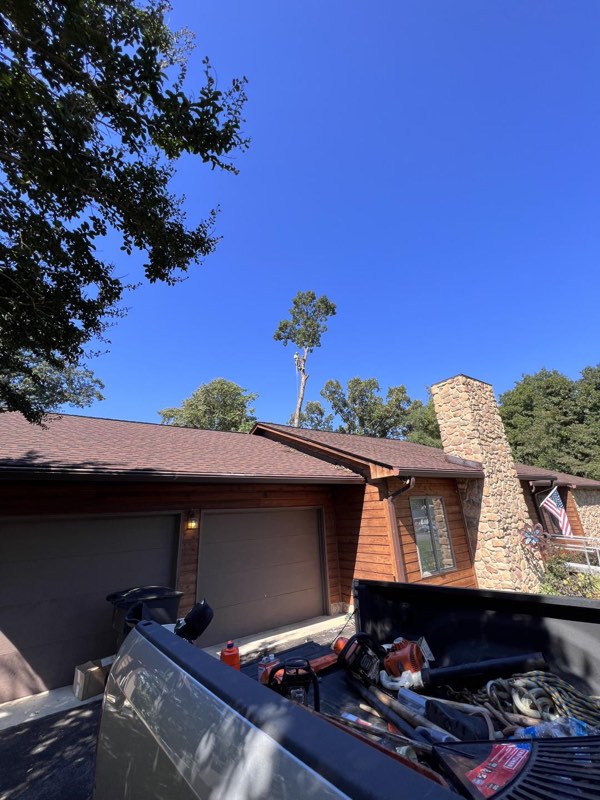 Bare spar left standing above a house roofline mid-removal