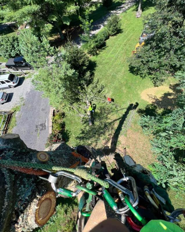 Aerial view down the rigging line to the ground crew and drop zone